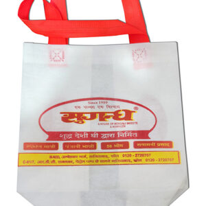 A Box-Type Non-Woven Bag